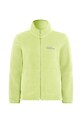 Детская кофта Jack Wolfskin TAUNUS JACKET K 1609482.164.176 зелёный SS25