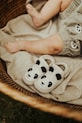 Usnjeni čevlji za dojenčka Donsje Morris Sneakers Panda Zrnato usnje bela 1036306