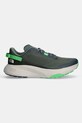 The North Face buty Altamesa 300 NF0A8A9R7241 zielony SS25