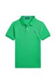 Детское хлопковое поло Polo Ralph Lauren хлопок зелёный 323708857182