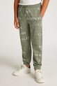 Детские хлопковые штаны Calvin Klein Jeans хлопок зелёный IB0IB02345.PPYA