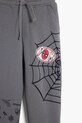 Хлопковые спортивные штаны Desigual серый 25SBPK01