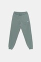 Dětské tepláky Puma ESS 2 COLOR No. 1 Logo Sweatpants FL pletenina zelená 685824