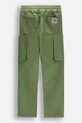 Coccodrillo pantaloni WC5119101GBJ verde SS25