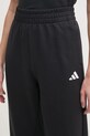 Спортивні штани adidas Future Icons чорний JE3977