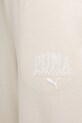 Спортивные штаны Puma бежевый 685037.