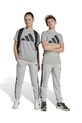 adidas pantaloni de trening pentru copii tricotaj gri JE0304