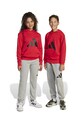 adidas pantaloni de trening pentru copii print gri JD2092