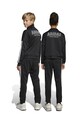 adidas pantaloni de trening pentru copii JI6173 negru