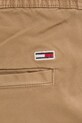 Штани Tommy Jeans зелений DM0DM20283