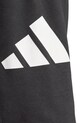 adidas spodnie dresowe Essentials czarny IN6163