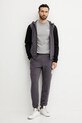 Спортивні штани EA7 Emporio Armani AF12660.7M000281 сірий SS25
