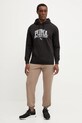 Puma spodnie dresowe bawełniane 631535 brązowy SS25