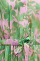 La Petite Française rochie RONNIE PFRONNIE verde