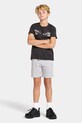 Didriksons pantaloni scurți copii FEJAN KIDS SHORTS casual gri 505660