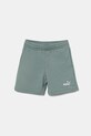 Детские шорты Puma ESS 2 COLOR No. 1 Logo Shorts TR аппликация зелёный 685826