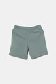 Детские шорты Puma ESS 2 COLOR No. 1 Logo Shorts TR 685826 зелёный SS25