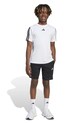 Παιδικό σορτς adidas JJ1038