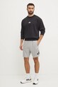 Шорты adidas Essentials IS6908 серый SS25