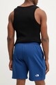 Îmbrăcăminte The North Face pantaloni scurti Essential Relaxed NF0A8C2GD1R1 albastru