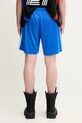 Odjeća Kratke hlače adidas Originals Teamgeist Shorts JP1123 plava