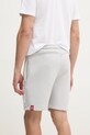 Îmbrăcăminte Alpha Industries pantaloni scurti Alpha PP Short 146365 gri