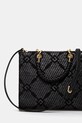 Accesorii Elisabetta Franchi geantă BS12A51E2 negru