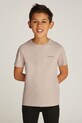 Dječja pamučna majica kratkih rukava Calvin Klein Jeans 0 pamuk siva IU0IU00683.128.176.PPYA