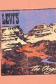 Хлопчик Дитяча футболка Levi's CANYON LANDSCAPE TEE 8EM301 помаранчевий