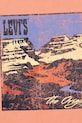 Băieți Levi's tricou copii CANYON LANDSCAPE TEE 8EM301 portocaliu