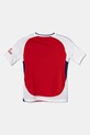 Fiú adidas Performance gyerek póló AFC IS8141 piros