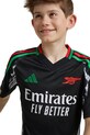 Детская футболка adidas Performance AFC IS8125