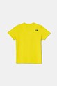 The North Face tricou de bumbac pentru copii GRAPHIC RELAXED S/S TEE NF0A8AXGJE31 verde SS25