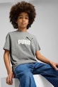 Детская хлопковая футболка Puma ESS 2 COLOR No.1 Logo Tee хлопок серый 685778