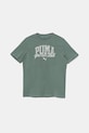 Detské bavlnené tričko Puma CLASS Graphic Tee bavlna zelená 685814