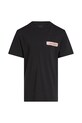 Детская хлопковая футболка Calvin Klein Jeans IB0IB02451.PPYA чёрный SS25