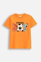 Coccodrillo t-shirt bawełniany dziecięcy nadruk pomarańczowy WC5143204VBA