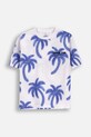 Coccodrillo t-shirt Planet friendly bianco WC5143203IBJ