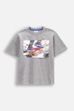 Coccodrillo t-shirt nadruk szary WC5143206IBJ