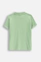 Coccodrillo t-shirt WC5143207WBK zielony SS25