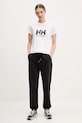 Βαμβακερό μπλουζάκι Helly Hansen HH LOGO 54593 λευκό AW25
