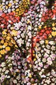 Coccodrillo tricou copii multicolor WC5143203NGJ