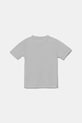 adidas t-shirt treningowy JI6107 szary SS25