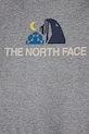 Chłopiec The North Face t-shirt dziecięcy KID GRAPHIC S/S TEE NF0A8AXEDYX1 szary