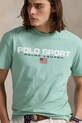 Памучна тениска Polo Ralph Lauren син 710880627