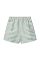 Chłopiec Liewood szorty kąpielowe dziecięce Duke Stripe Board Shorts LW21436.PPY2 zielony