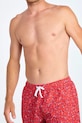 Купальные шорты Banana Moon ARISTIDE красный RUBEN.ARISTIDE