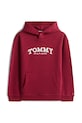 Tommy Hilfiger bluza dziecięca KB0KB10028.128.176.PPY2 bordowy SS26