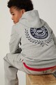 Levi's bluza dziecięca MODERN CREST HOODIE pozostałe szary 9EP587