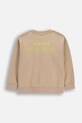 Момче Детски суичър Coccodrillo WC6132101NBJ бежов